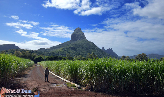 lile-maurice-sud-ouest-morne-et-extreme-sud-38