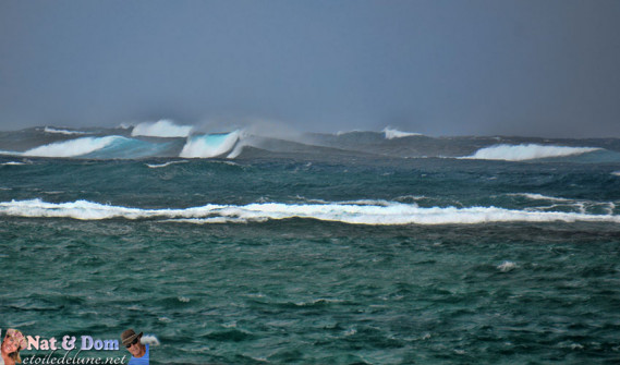 lile-maurice-sud-ouest-morne-et-extreme-sud-56