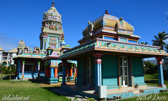 temple-tamoul-de-ravine-blanche-6