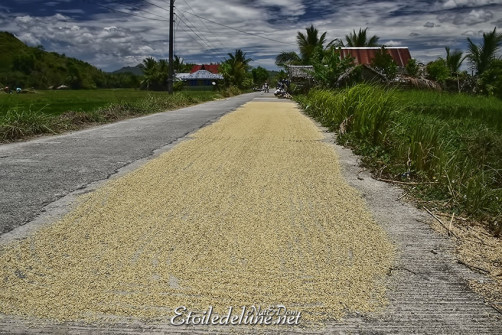philippines-road-18-jpg