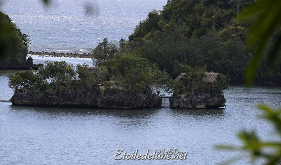 sipalay-tinagong-dagat-islands-12-jpg