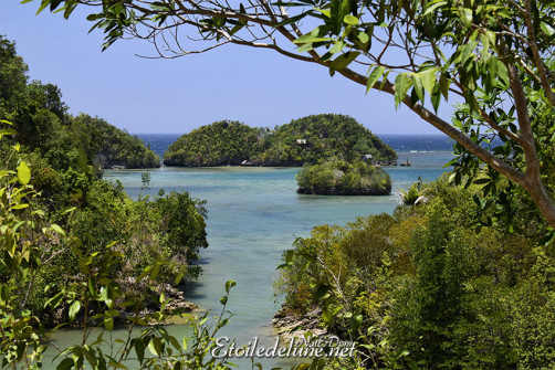 sipalay-tinagong-dagat-islands-13-jpg