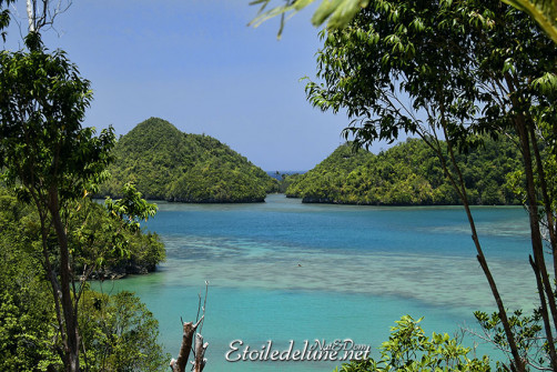 sipalay-tinagong-dagat-islands-15-jpg