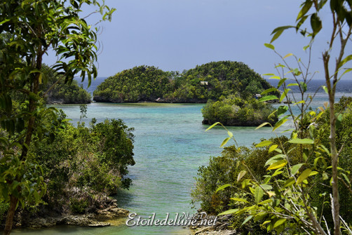 sipalay-tinagong-dagat-islands-35-jpg