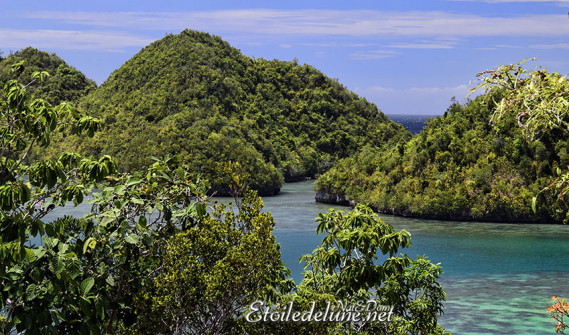sipalay-tinagong-dagat-islands-4-jpg