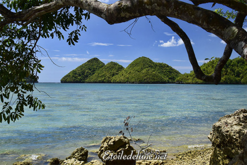 sipalay-tinagong-dagat-islands-9-jpg