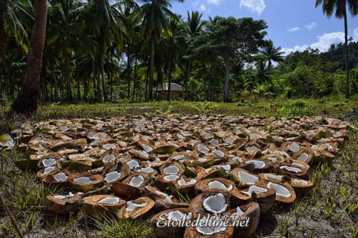 san-vicente_palawan-et-son-archipel-15-jpg