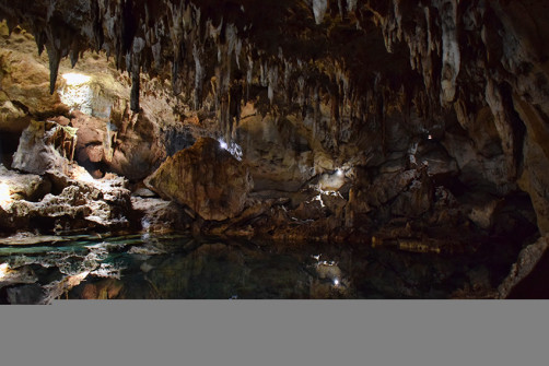 bohol-_-riviere-loboc_grottes-de-hinagdanan-1-jpg