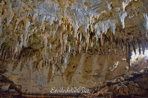 bohol-_-riviere-loboc_grottes-de-hinagdanan-29-jpg