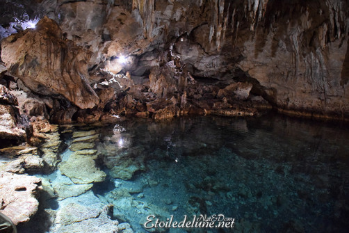 bohol-_-riviere-loboc_grottes-de-hinagdanan-30-jpg