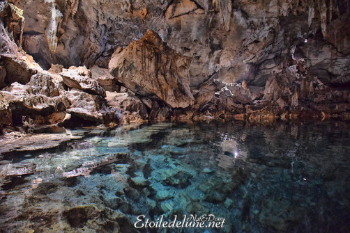 bohol-_-riviere-loboc_grottes-de-hinagdanan-31-jpg