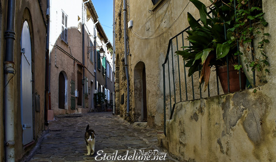village-perch%c3%a9-de-provence-1-jpg