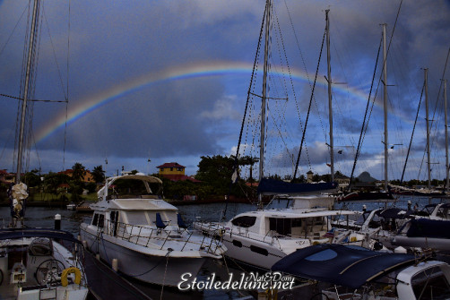 de-sainte-lucie-aux-grenadines_paysages-1-jpg