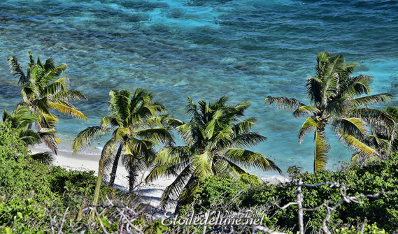 de-sainte-lucie-aux-grenadines_paysages-105-jpg