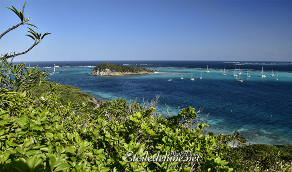 de-sainte-lucie-aux-grenadines_paysages-106-jpg