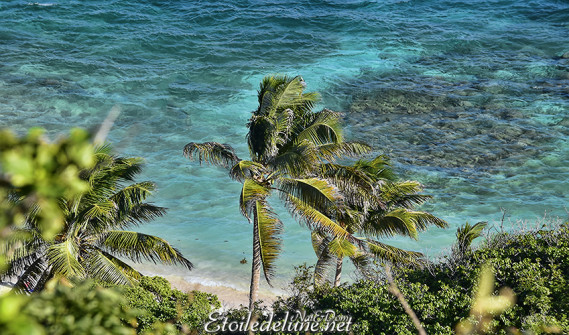 de-sainte-lucie-aux-grenadines_paysages-107-jpg