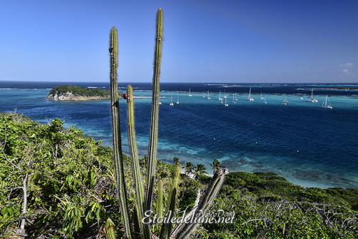 de-sainte-lucie-aux-grenadines_paysages-108-jpg