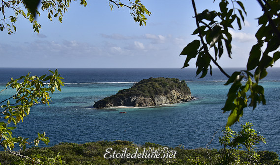 de-sainte-lucie-aux-grenadines_paysages-112-jpg