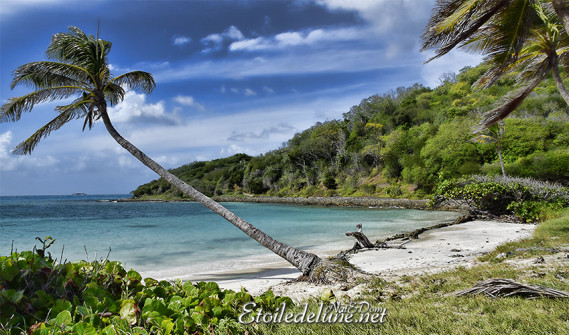 de-sainte-lucie-aux-grenadines_paysages-29-jpg