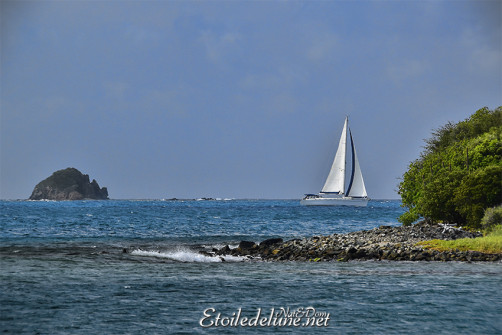 de-sainte-lucie-aux-grenadines_paysages-33-jpg