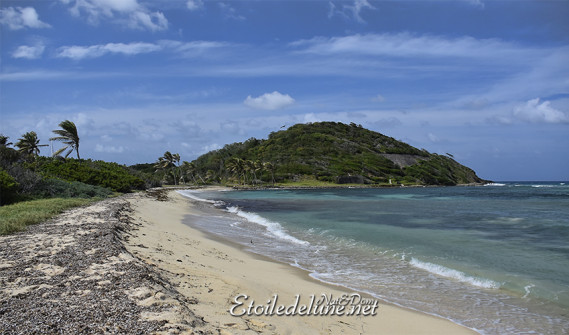 de-sainte-lucie-aux-grenadines_paysages-34-jpg