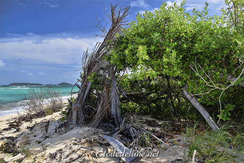 de-sainte-lucie-aux-grenadines_paysages-35-jpg