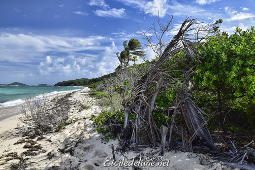 de-sainte-lucie-aux-grenadines_paysages-36-jpg