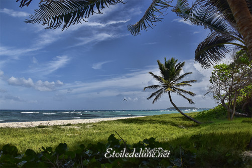 de-sainte-lucie-aux-grenadines_paysages-38-jpg