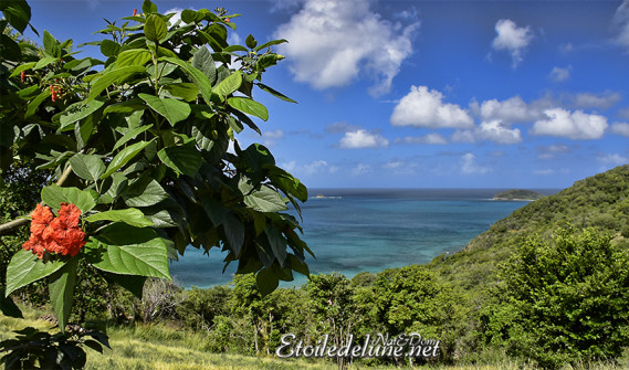 de-sainte-lucie-aux-grenadines_paysages-40-jpg