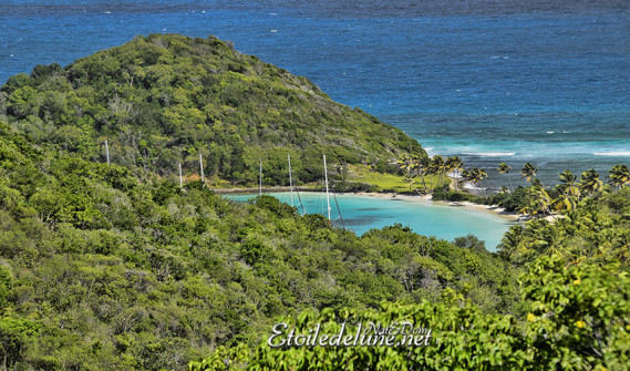 de-sainte-lucie-aux-grenadines_paysages-42-jpg