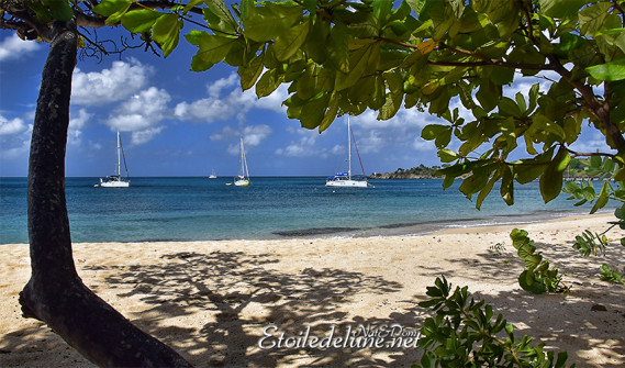 de-sainte-lucie-aux-grenadines_paysages-45-jpg