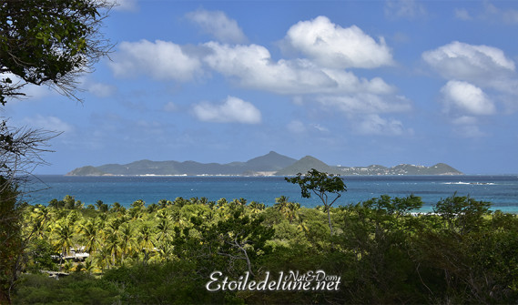 de-sainte-lucie-aux-grenadines_paysages-53-jpg