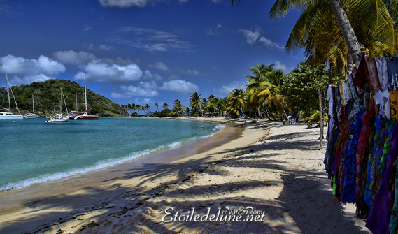 de-sainte-lucie-aux-grenadines_paysages-54-jpg