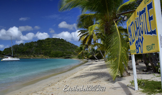 de-sainte-lucie-aux-grenadines_paysages-55-jpg