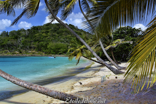 de-sainte-lucie-aux-grenadines_paysages-56-jpg