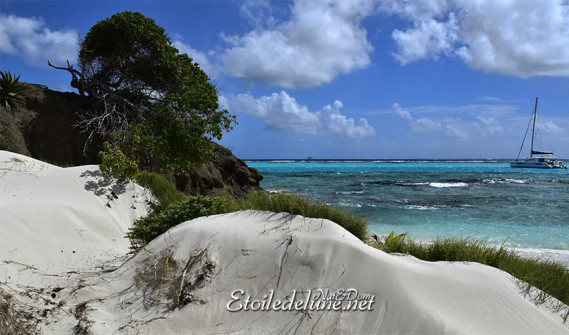 de-sainte-lucie-aux-grenadines_paysages-65-jpg