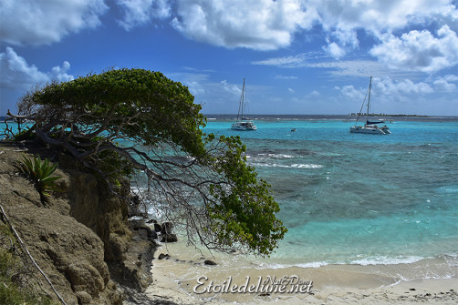 de-sainte-lucie-aux-grenadines_paysages-66-jpg