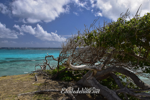 de-sainte-lucie-aux-grenadines_paysages-68-jpg