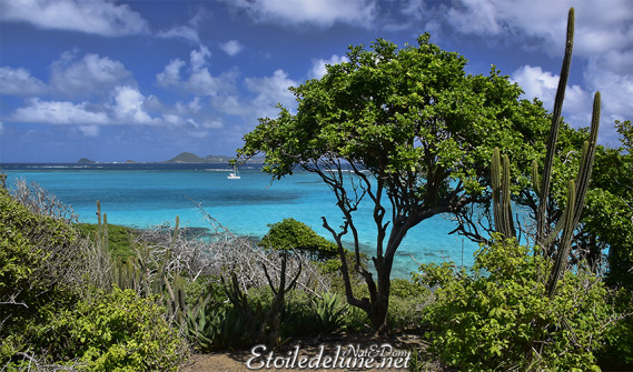 de-sainte-lucie-aux-grenadines_paysages-69-jpg