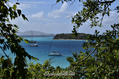 de-sainte-lucie-aux-grenadines_paysages-71-jpg