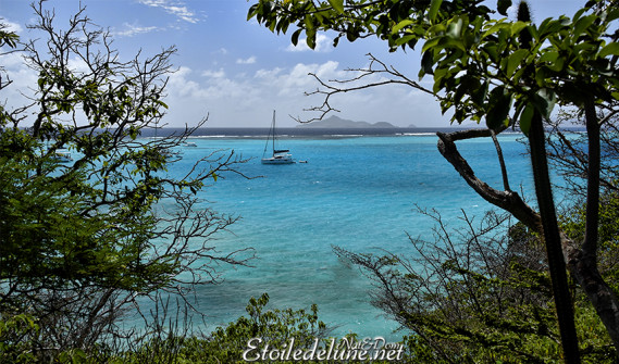 de-sainte-lucie-aux-grenadines_paysages-73-jpg