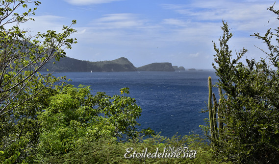 de-sainte-lucie-aux-grenadines_paysages-8-jpg