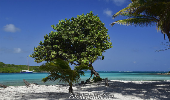 de-sainte-lucie-aux-grenadines_paysages-80-jpg