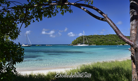 de-sainte-lucie-aux-grenadines_paysages-83-jpg