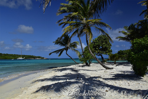 de-sainte-lucie-aux-grenadines_paysages-84-jpg