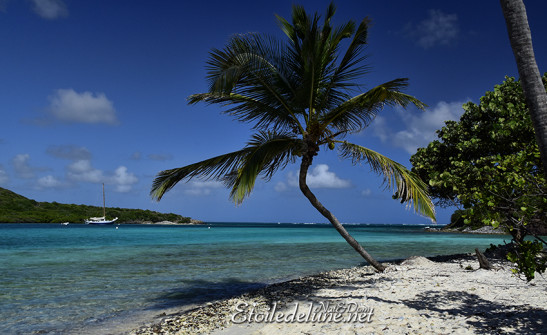 de-sainte-lucie-aux-grenadines_paysages-85-jpg