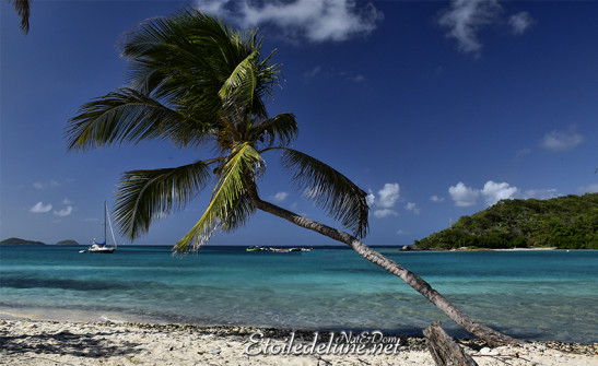 de-sainte-lucie-aux-grenadines_paysages-86-jpg