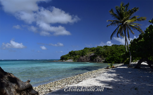 de-sainte-lucie-aux-grenadines_paysages-88-jpg