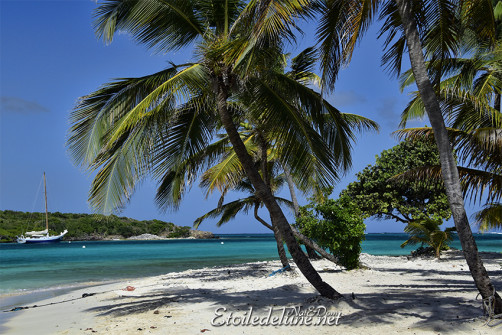 de-sainte-lucie-aux-grenadines_paysages-93-jpg