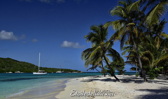 de-sainte-lucie-aux-grenadines_paysages-95-jpg